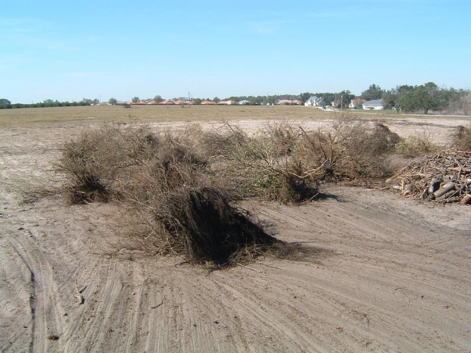 cleared field with piles of brush and cut logs, houses in background
