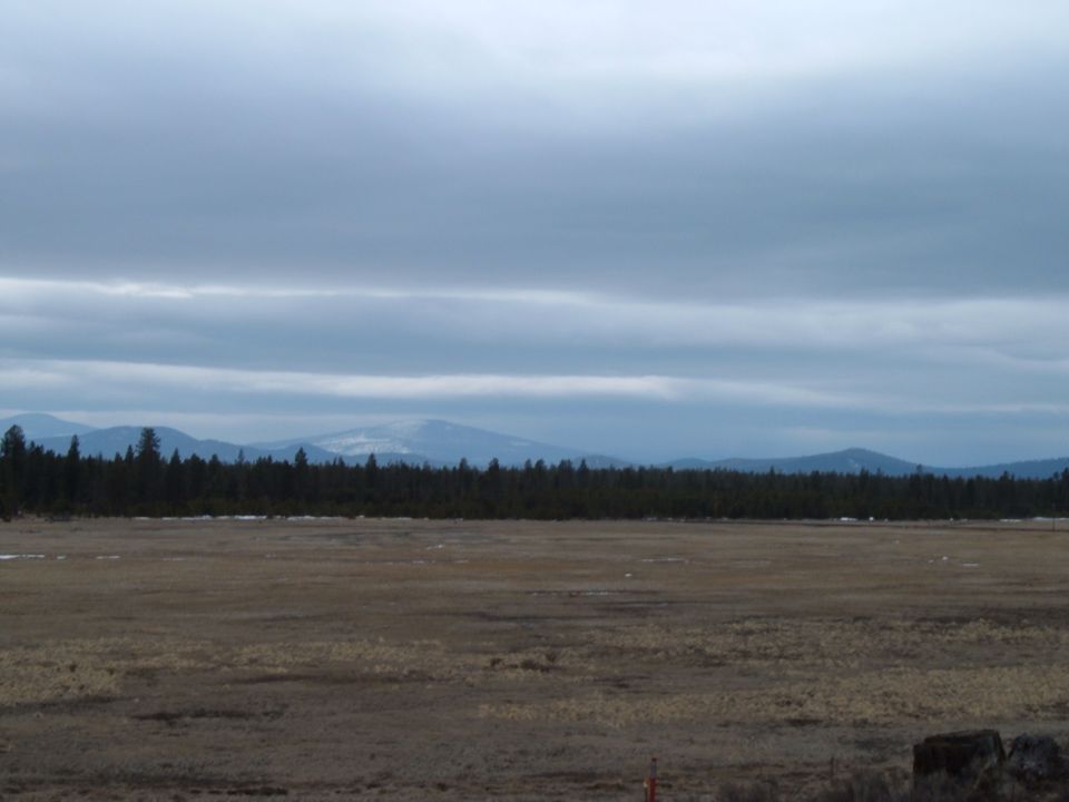 Snow-patched meadow with pine treeline and distant mountains under overcast sky