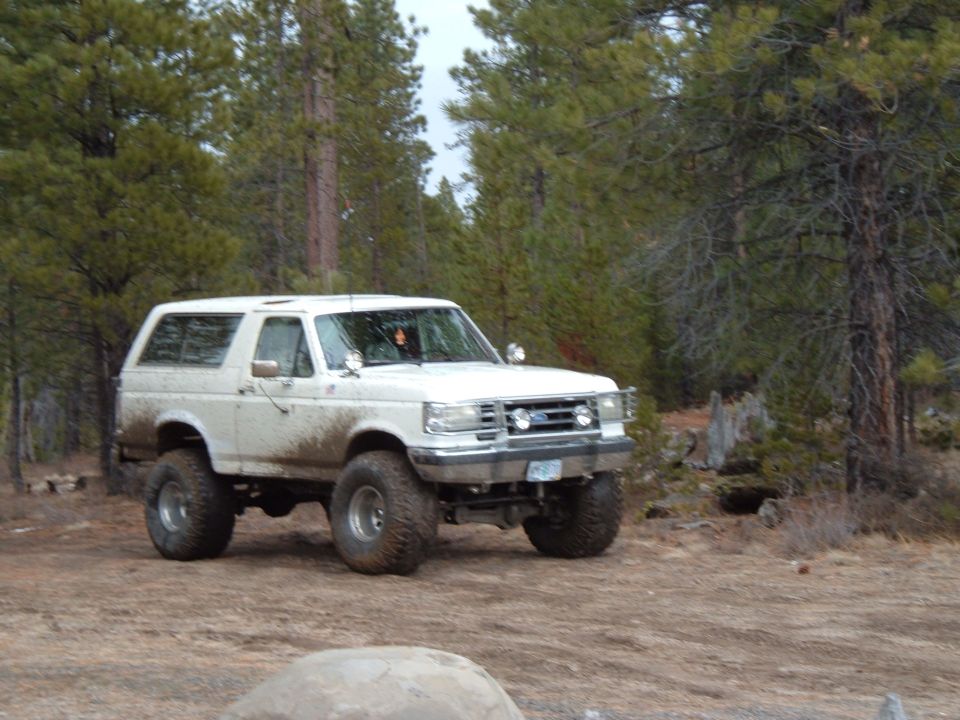 Lifted white Ford Bronco on mud-terrain tires with brush guard parked in a pine forest