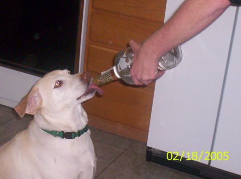 1978 Chevrolet C/K Pickup - Dog drinks from a bottle. Date stamp 02/18/2005. Supermotors.net watermark.