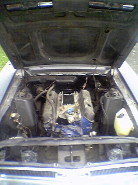1968 Ford Mustang - The engine bay of a 1968 Ford Mustang is visible with the hood raised, revealing the engine block painted blue.