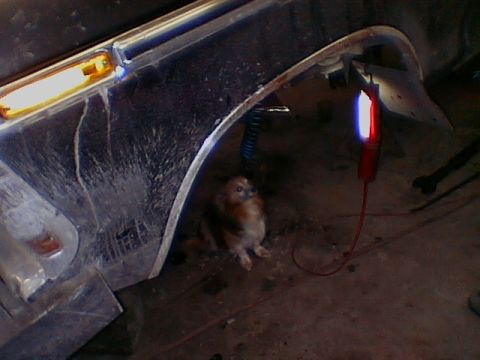 1979 Ford Bronco - supervisor !