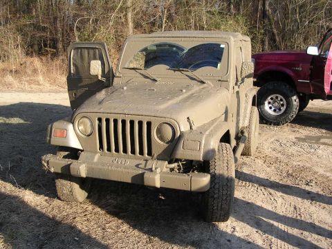 1995 Ford Bronco - You can actually see the BRM in this shot...so yes I was there. And I did it all in 2wd..eat that Jeep boy