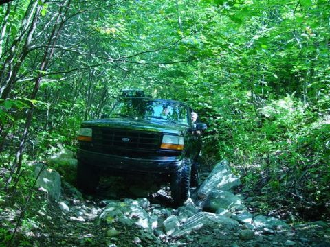 1996 Ford Bronco - This 1996 Ford Bronco is shown off-road on a challenging, wooded path.