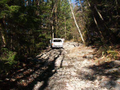 1980 Ford Bronco - A white 1980 Ford Bronco navigates a challenging, rocky path through a dense forest.