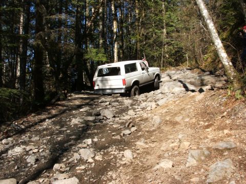 1980 Ford Bronco - A white SUV tackles a challenging, rocky path through a dense forest.