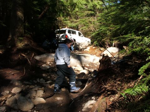 1980 Ford Bronco - A white 1980 Ford Bronco is seen off-roading on a challenging, wooded trail.
