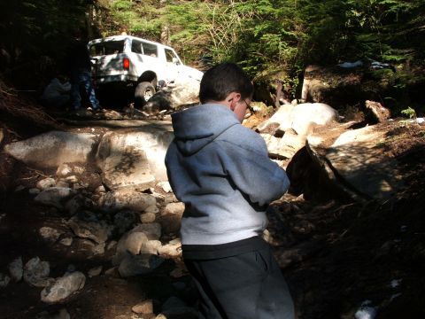1980 Ford Bronco - White 1980 Ford Bronco tackles a challenging rocky trail in a wooded area.