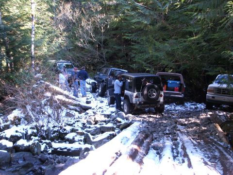 1980 Ford Bronco - Multiple off-road vehicles navigate a challenging, snow-covered forest trail with fallen logs.