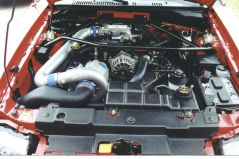 2000 Ford Mustang photo
