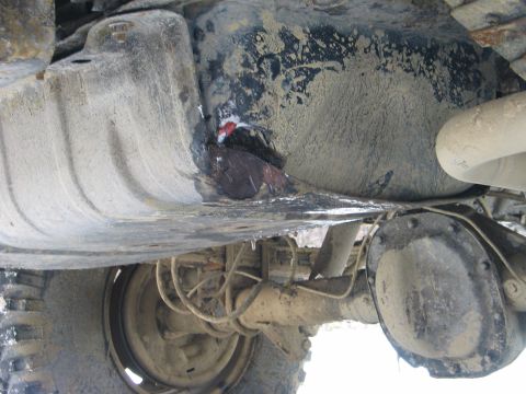 1995 Ford Bronco - The underbody of a vehicle shows a damaged fuel tank and a dirty rear axle, with no clear year identification.