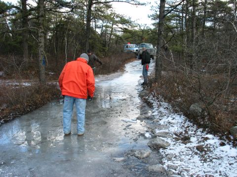 1995 Ford Bronco - Two trucks navigate an icy path through a wooded area in winter.