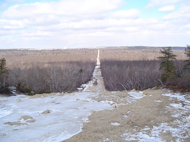 Winter landscape with a dirt road cutting through bare trees, leading to a distant horizon under a cloudy sky