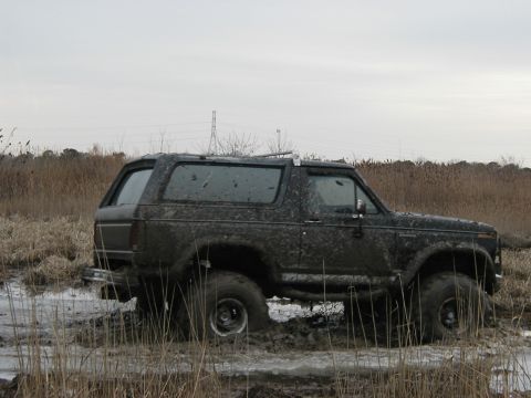 1985 Ford Bronco - This 1985 Ford Bronco is deeply stuck in a muddy, marshy area.