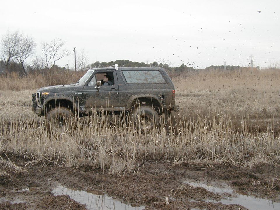 1985 Ford Bronco “moneypit”