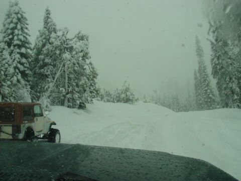 1986 Ford Bronco - A Jeep CJ-7 navigates a snow-covered trail surrounded by pine trees.