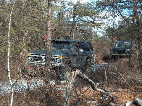 1995 Ford Bronco - Two off-road vehicles are partially obscured by trees and brush in a natural setting.