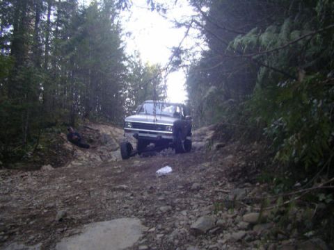 1984 Ford Bronco II - A truck navigates a rough, wooded trail, with trees lining both sides of the path.