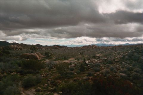 1990 Ford Bronco - broad desert basin scattered with rocks and Joshua trees stretches to distant hills beneath thick overcast clouds.