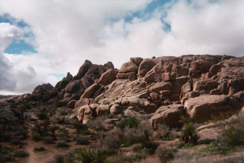 1990 Ford Bronco - long rugged ridge of piled tan boulders rises above desert scrub and Joshua trees under a partly cloudy sky.