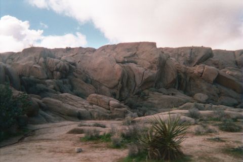 1990 Ford Bronco - wall of cracked tan boulders rises above the sandy desert floor, with a spiky yucca plant in the foreground under cloudy sky.
