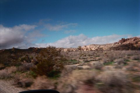 1990 Ford Bronco - Motion-blurred desert scrub and Joshua trees rush past a distant rocky hillside under a deep blue sky, shot from a moving vehicle.