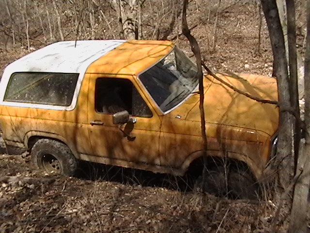 Yellow Ford Bronco stuck in wooded area, front wheel deep in mud