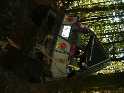 1990 Ford Bronco - Off-road vehicle lodged in trees after an apparent accident.