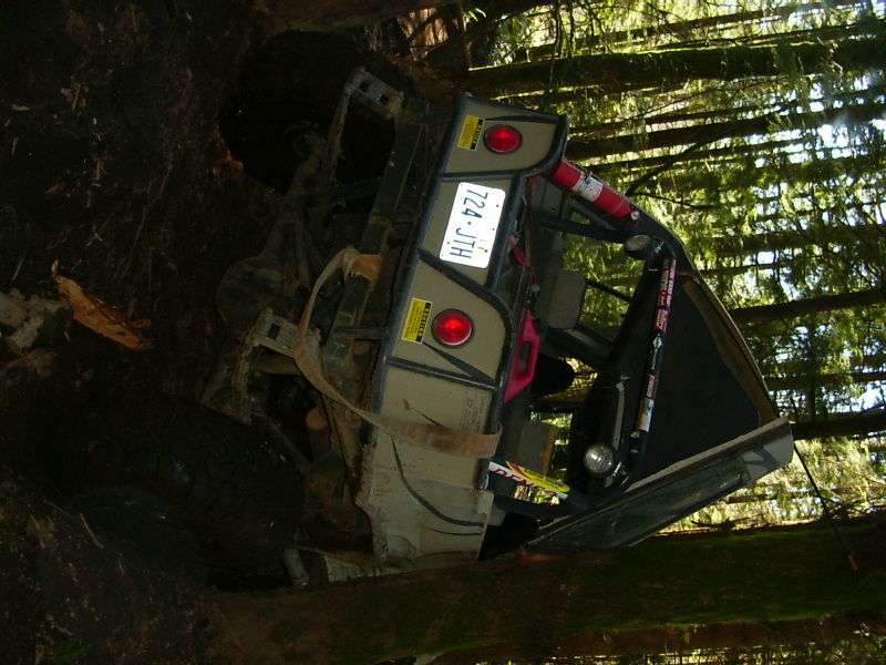 Off-road vehicle overturned and stuck in trees, rear view showing license plate 724-JTH