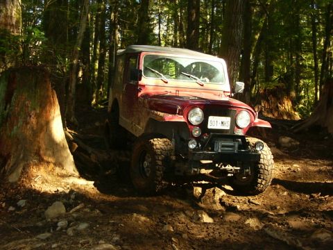 1990 Ford Bronco - A red Jeep CJ-7 navigates a dirt path through a sun-dappled forest.