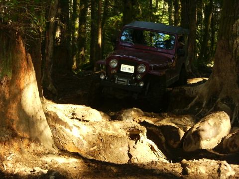 1990 Ford Bronco - A red Jeep tackles a challenging off-road course through a dense forest.