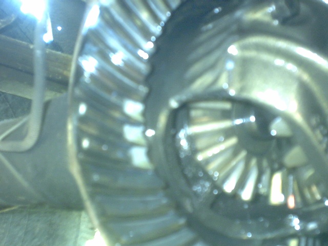 Perty Pinion teeth bite