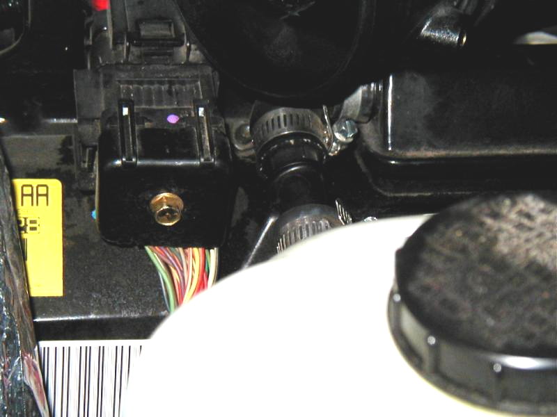 Engine bay close-up with black connector, hose clamps, corrugated hose and wiring near a white reservoir.