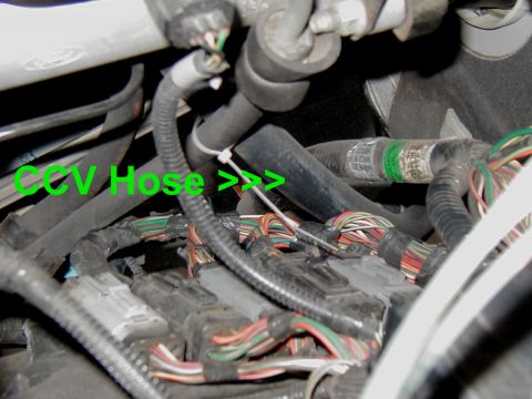 2002 Ford Excursion - This image shows a section of an engine bay with various hoses and a complex wiring harness.