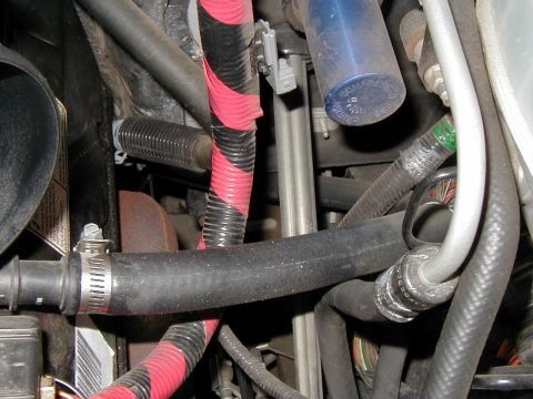 2002 Ford Excursion - A shot of the coolant hose with the screw clamp heading down along the fender
