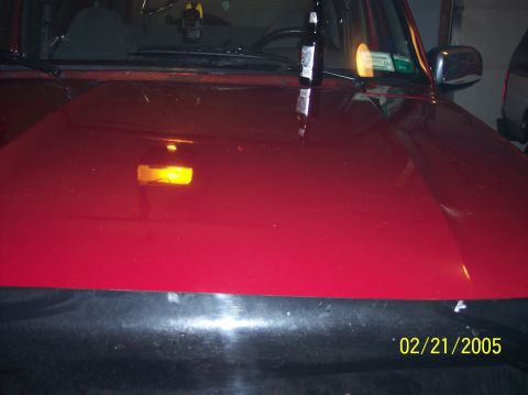 1995 Ford Bronco - A beer bottle rests on the hood of a red SUV, with a timestamp of 02/21/2005 visible.