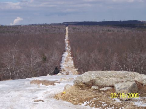 1995 Ford Bronco - A winter scene shows a long dirt path cutting through a forest, with a person visible in the distance and a date stamp of 02/19/2005.