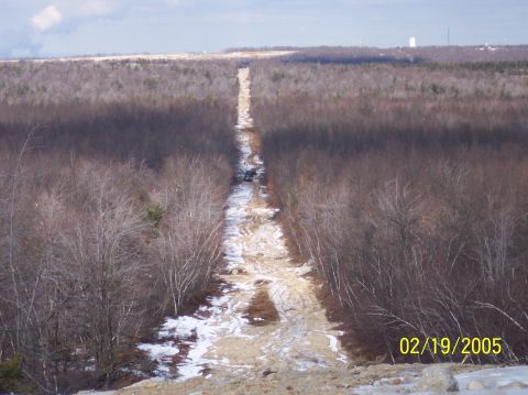1995 Ford Bronco - A vehicle navigates a muddy and snowy path through a forest with a distant tower on the horizon.