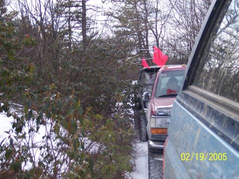 1995 Ford Bronco - A line of vehicles, including a red pickup truck, are parked on a snowy path surrounded by trees.