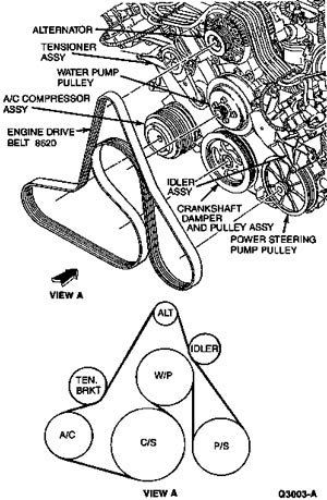 1992 Ford Crown Victoria - Diagram shows the routing of the engine drive belt and identifies components like the alternator, A/C compressor, and water pump pulley.