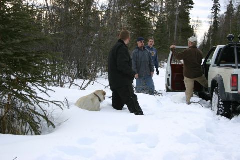 2003 Jeep TJ - A group of people and a dog are gathered around a white pickup truck stuck in the snow in a wooded area.