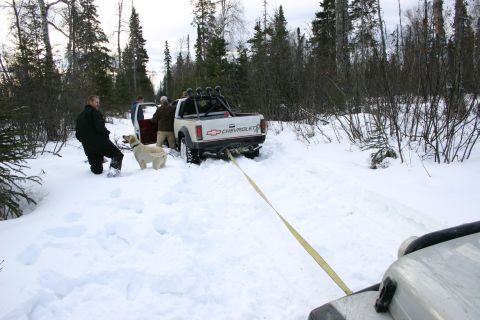 2003 Jeep TJ - A Chevrolet pickup truck is stuck in deep snow, being pulled out by another vehicle in a wooded area.
