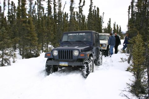 2003 Jeep TJ - A group of Jeeps navigates a snowy trail surrounded by pine trees.