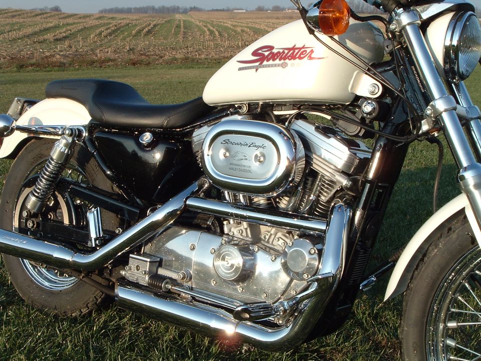 White Harley-Davidson Sportster with chrome V-twin engine parked on grass