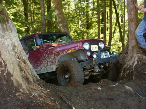 1990 Ford Bronco - This Jeep CJ-7 is navigating a difficult off-road path, getting stuck between two large trees.