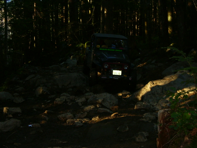 Jeep-like vehicle navigating a rocky, wooded trail