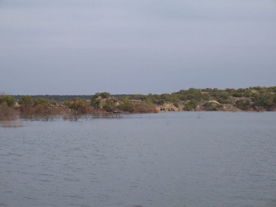 Gray lake with submerged brush and juniper-covered hills under an overcast sky
