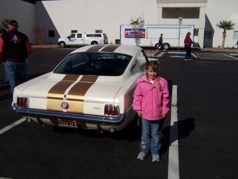 1971 Ford Mustang - Rear view of a 1966 Ford Mustang, showing its distinctive tail lights and gold racing stripes.