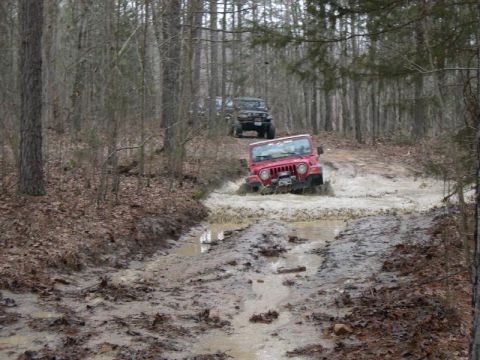 1999 Jeep TJ - Multiple Jeeps navigate a muddy trail, with a red Jeep Wrangler leading the way through a water obstacle.