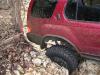 1999 Jeep TJ - SUV tires grip rocks while driving off-road through a wooded area.